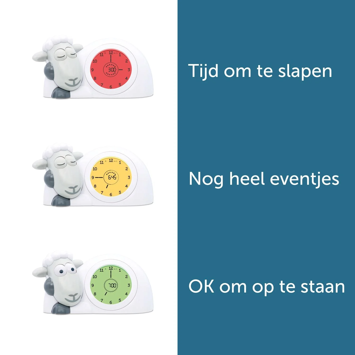 Productafbeelding 3