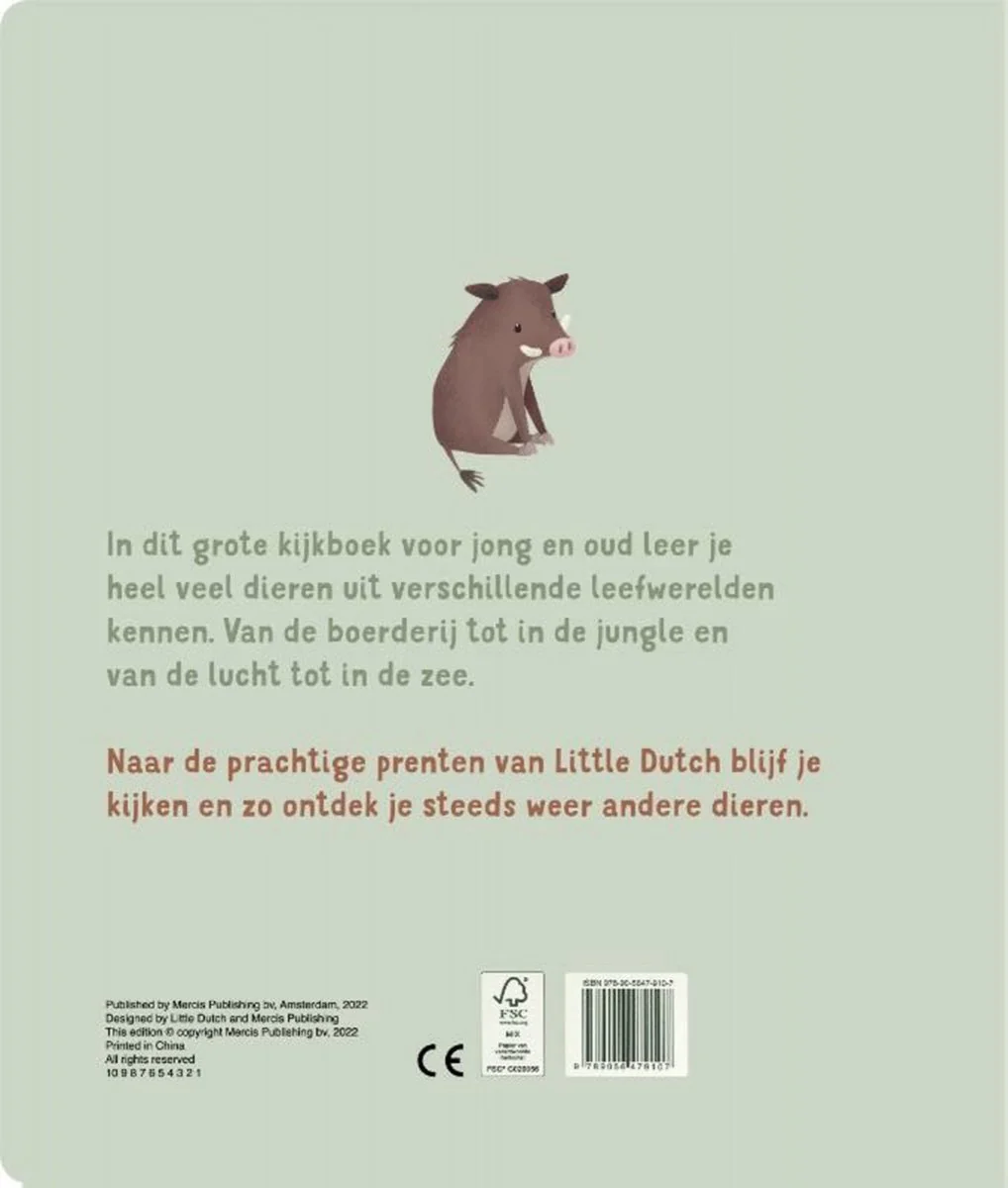 Productafbeelding 6