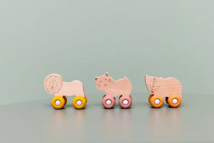Miniatuur 1