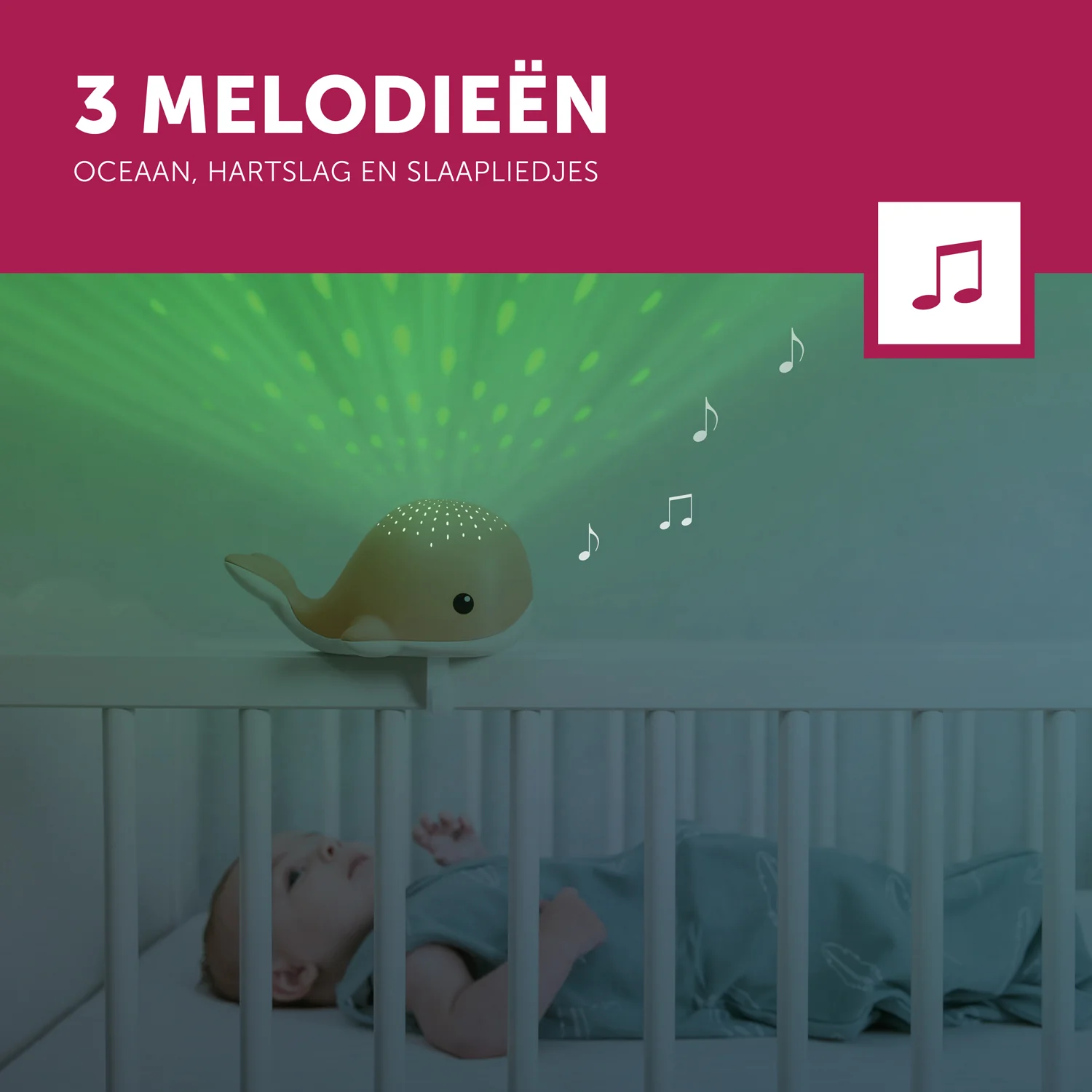 Productafbeelding 4